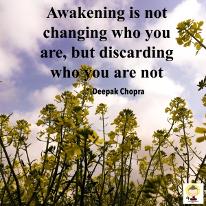thought of the day, personal growth, Deepak Chopra, mindset reset, motivational quotes, personal development through mindfulness, words of wisdom, commit to sit, positive thinking, inspirational advice, quotation, sayings to live by, 